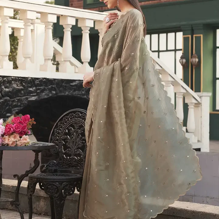 Tikhi Imli Embellished Mirror Work Saree, Khaki