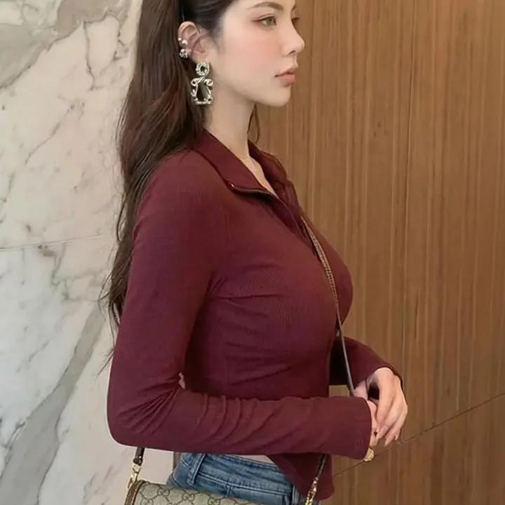 SZN Maroon Ribbed High Neck Casual Top