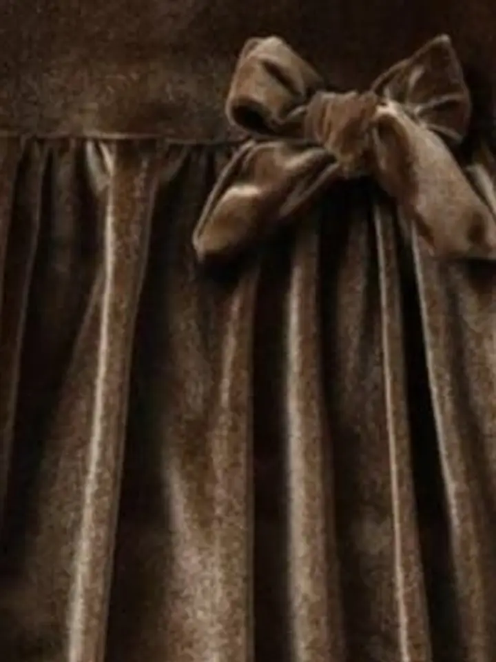 ER LIFE Style Velvet Fit & Flare Dress, Brown